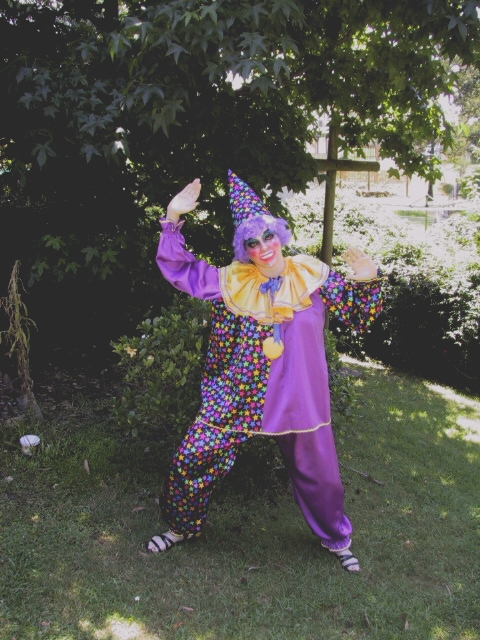 Purple clown costume
