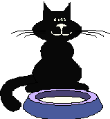 Black cat costume