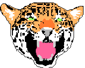 Leopard costume